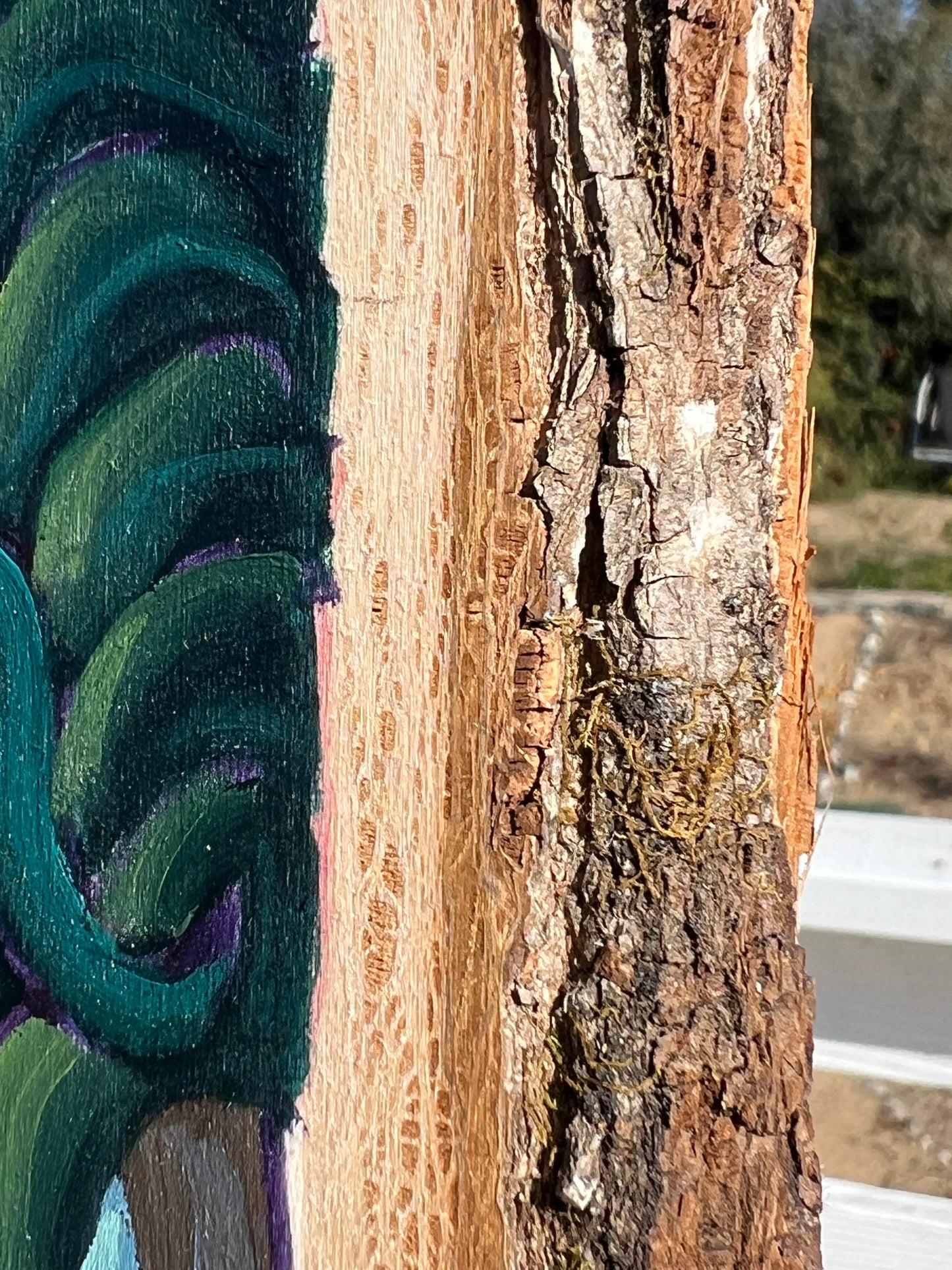 The Forest Is Alive With Magic