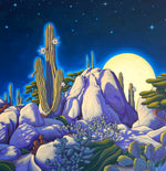 Timeless Portals Into the Desert Night