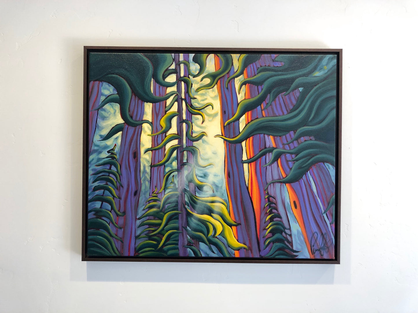 Light Shining Through the Redwoods