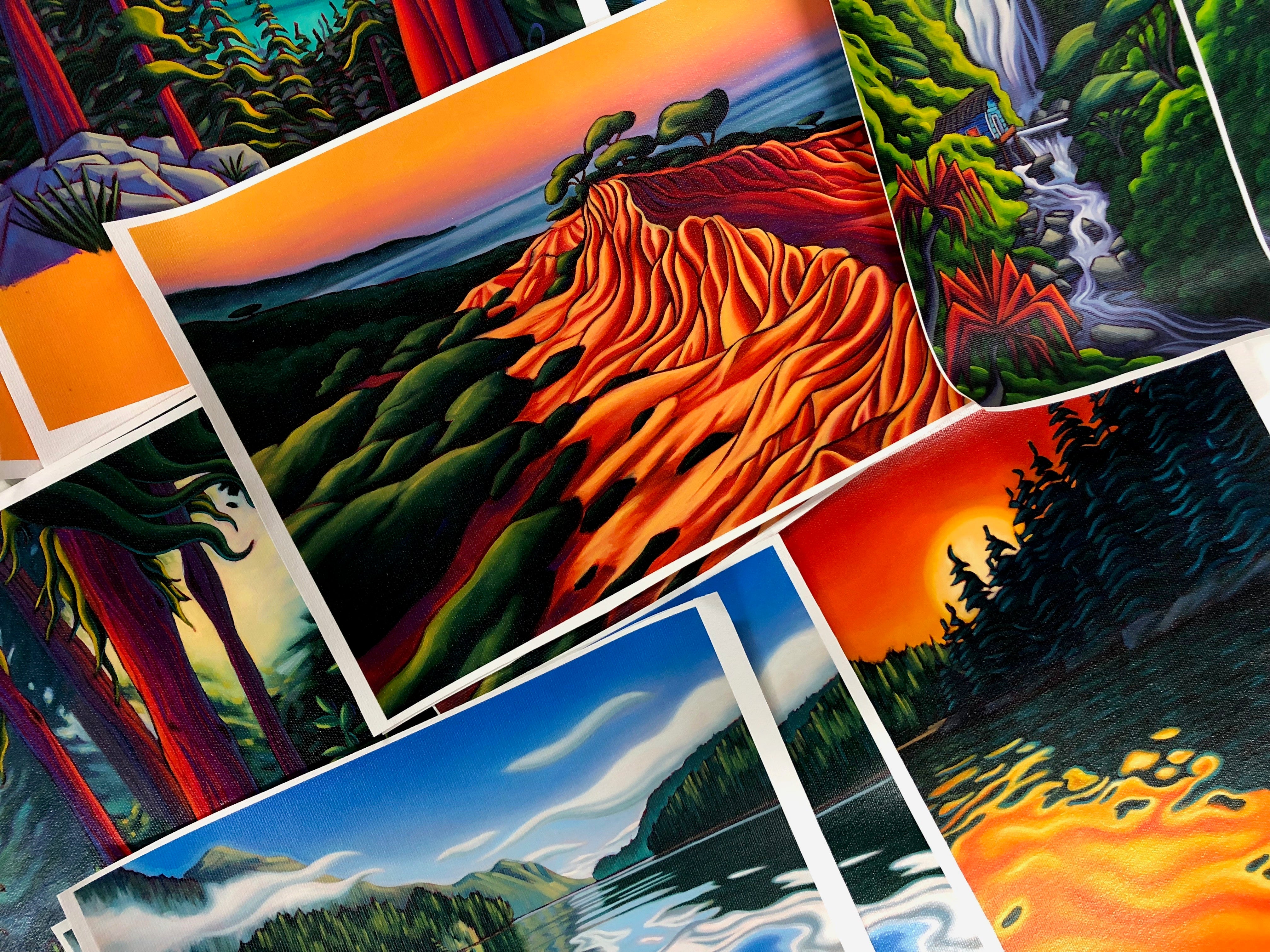 Collections – Pecoff Studios