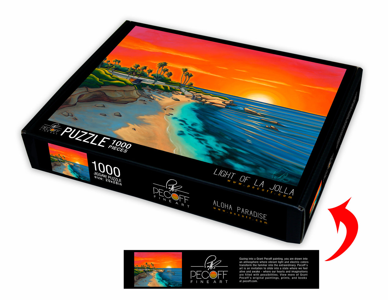 Light of La Jolla Puzzle