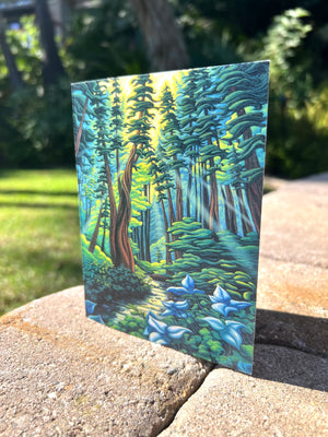 Notecard Boxed Set - Forests