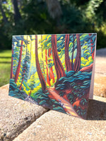 Notecard Boxed Set - Forests