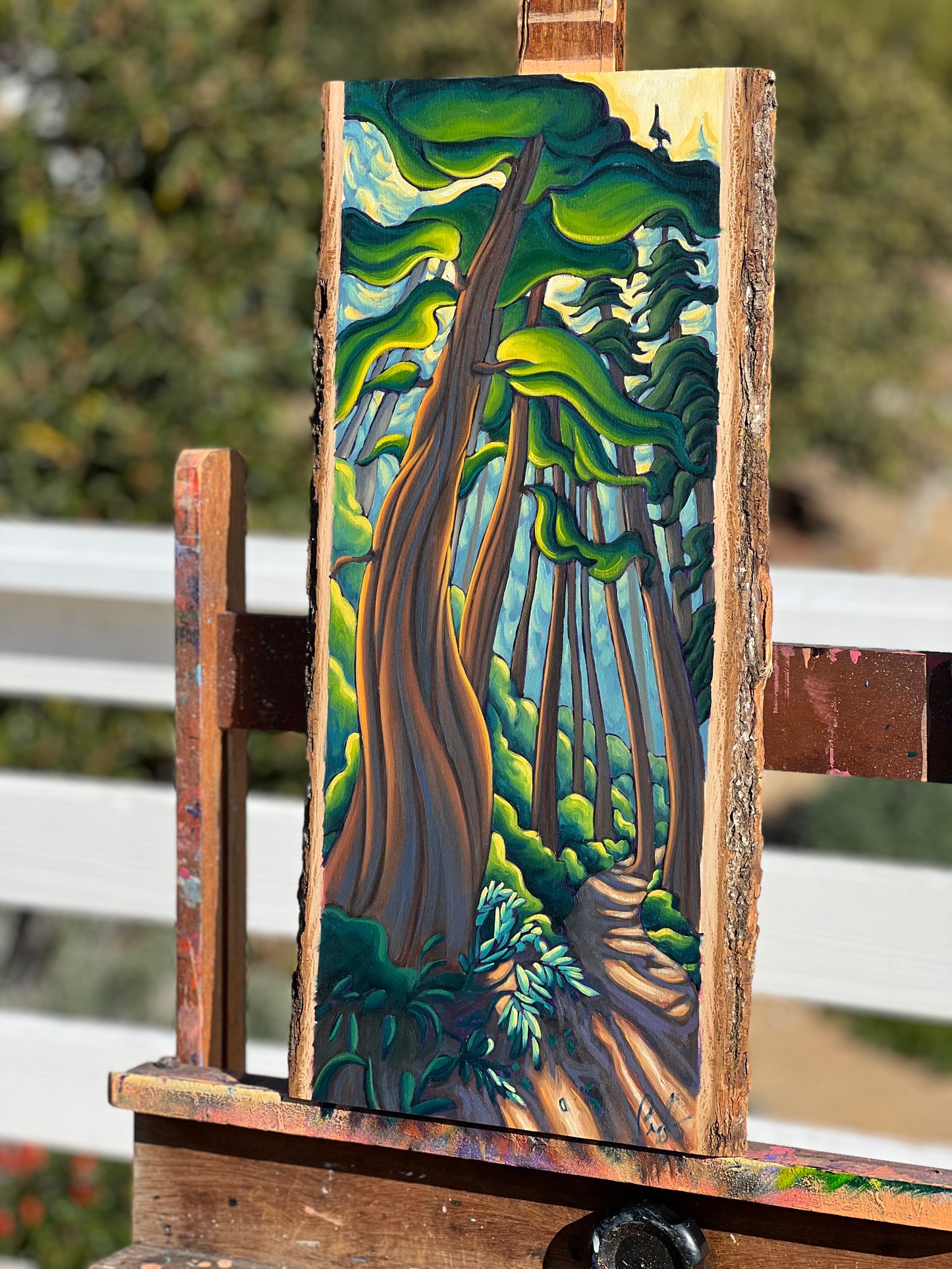 The Forest Is Alive With Magic