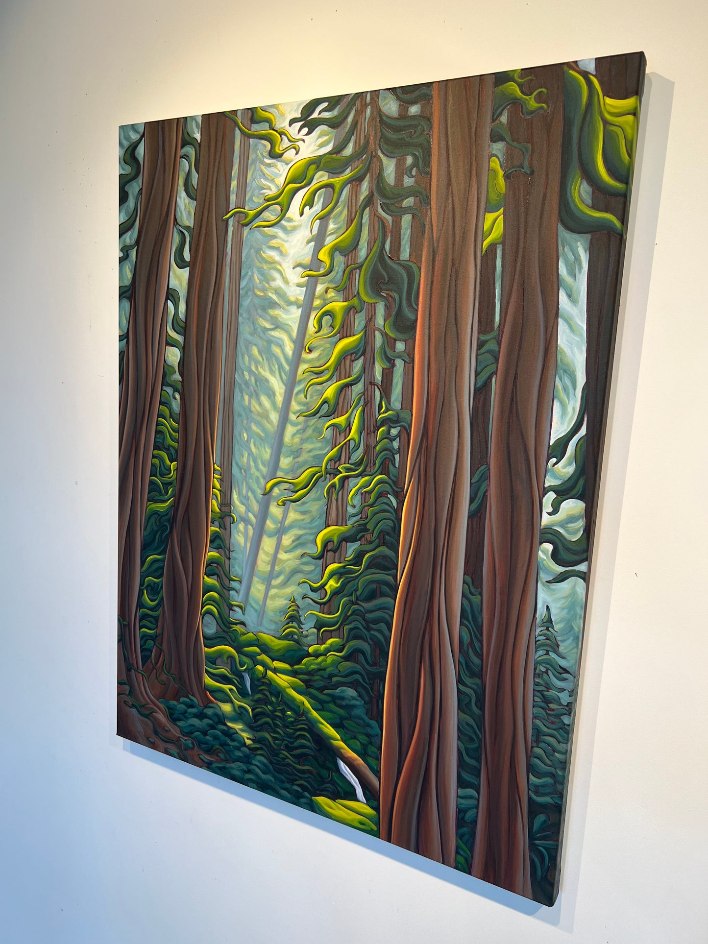 In the Silence of the Forest