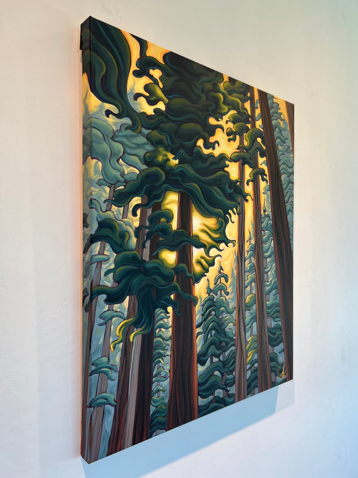 Momentary Chorus of Light