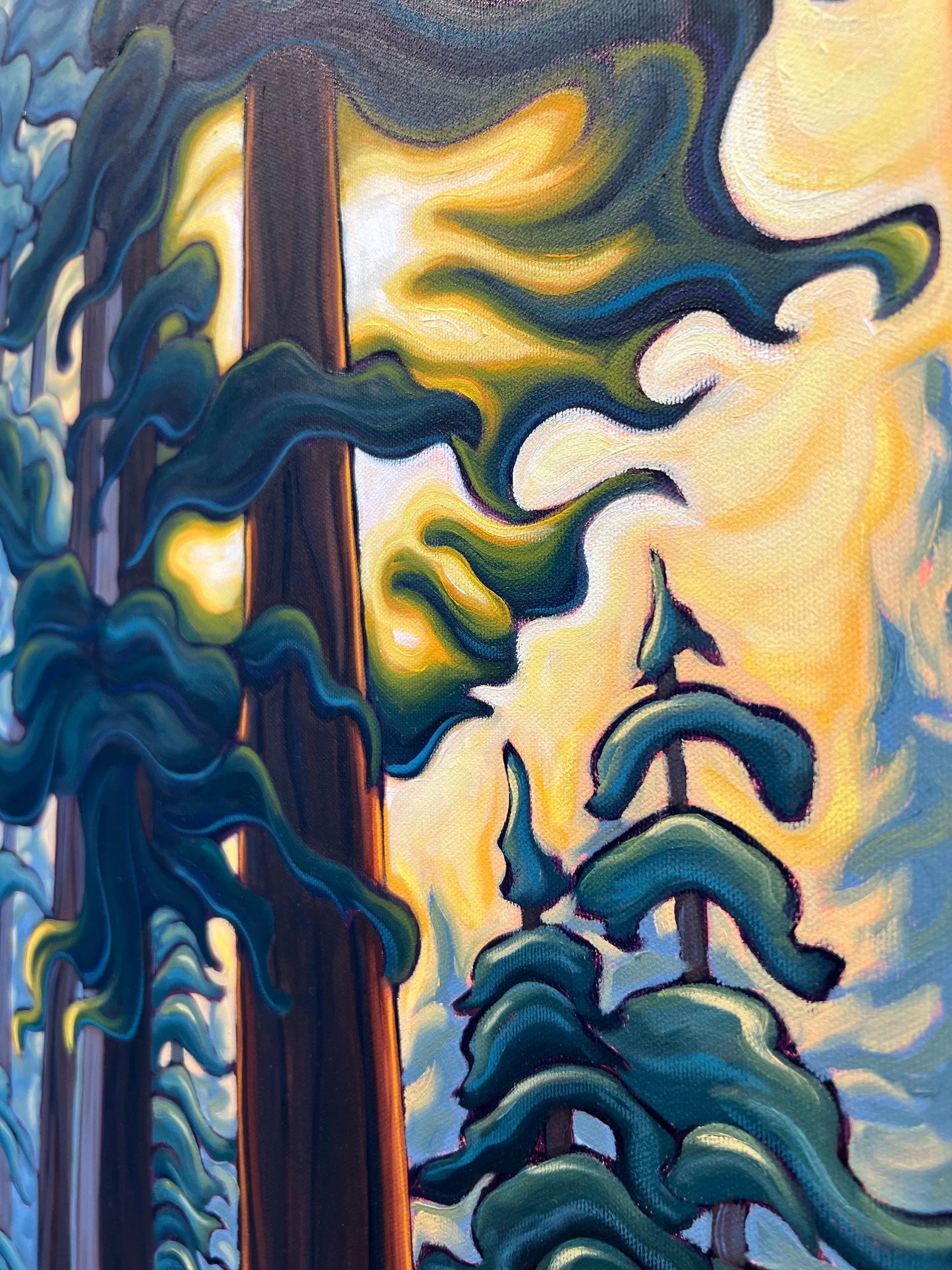 Momentary Chorus of Light