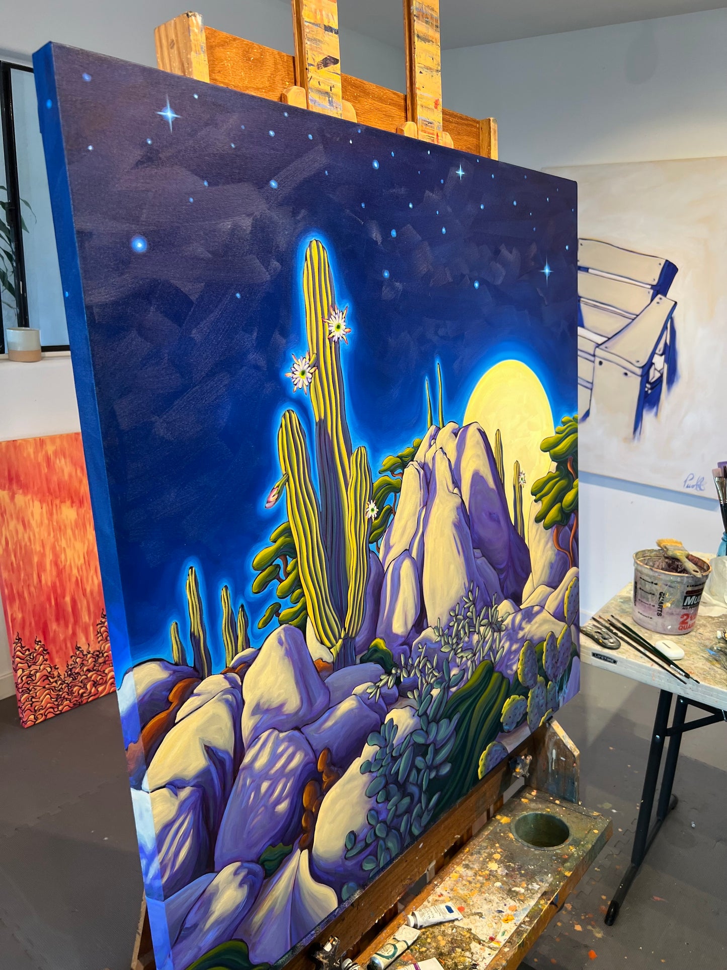 Timeless Portals Into the Desert Night