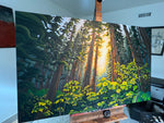 Song of the Forest