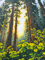 Song of the Forest