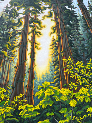 Song of the Forest