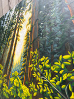 Song of the Forest
