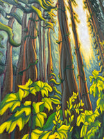 Song of the Forest