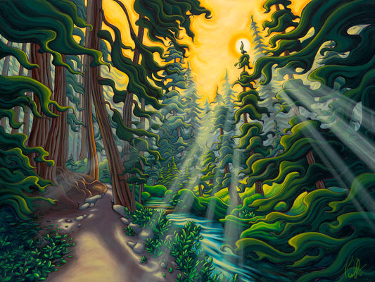 Illuminating the Path Puzzle