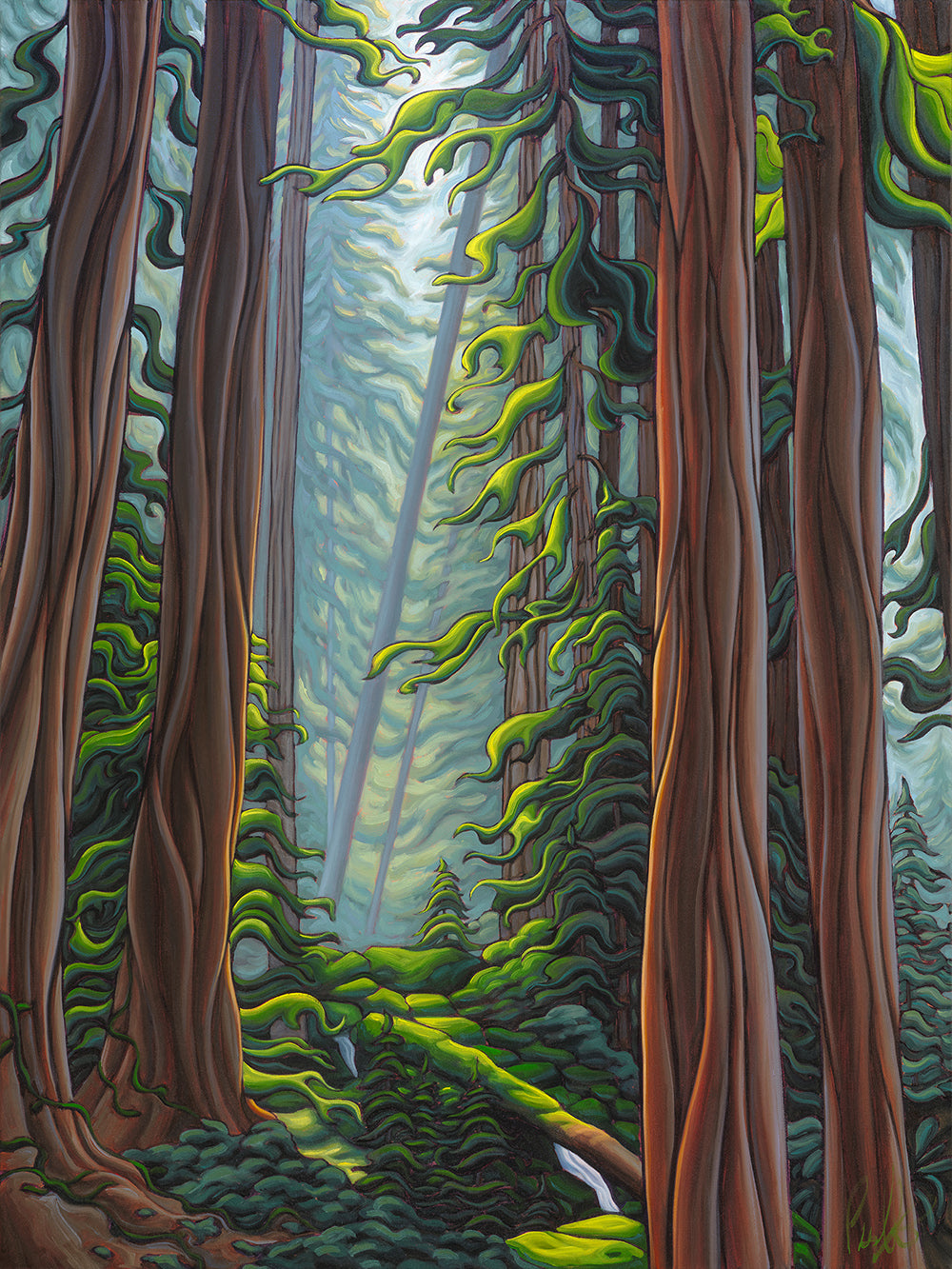 In the Silence of the Forest