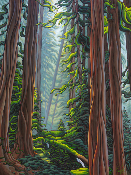 In the Silence of the Forest