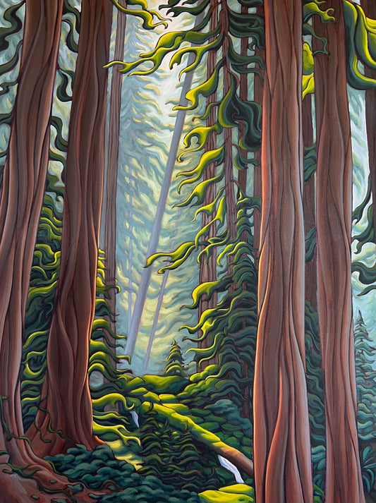 In the Silence of the Forest