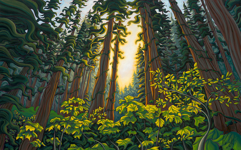 Song of the Forest