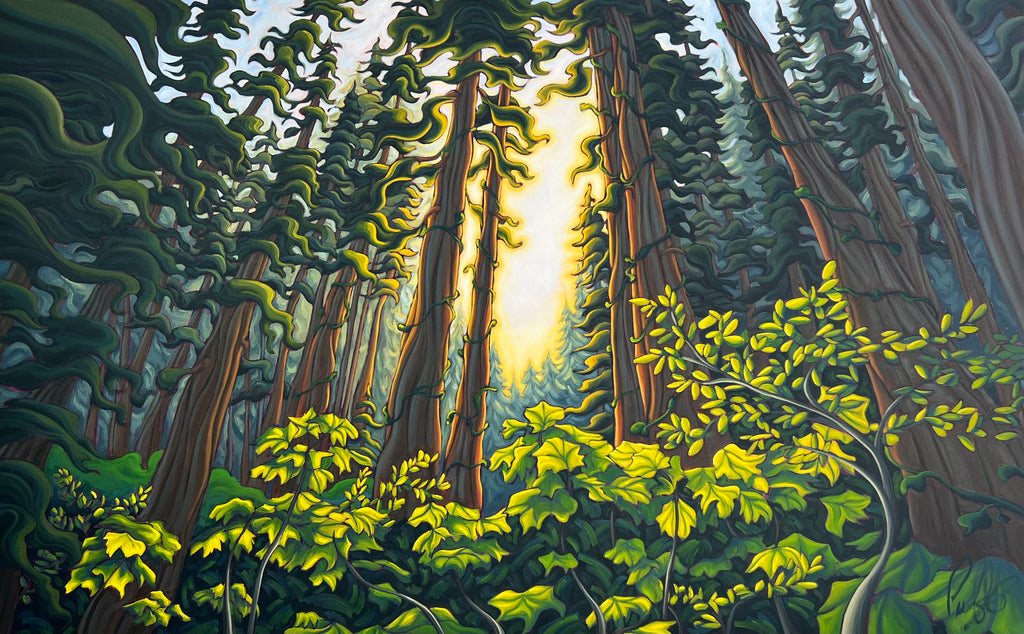 Song of the Forest