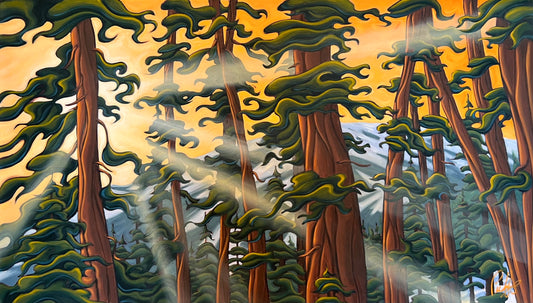 Sunlight Streaming Through the Forest