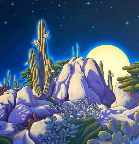 Timeless Portals Into the Desert Night