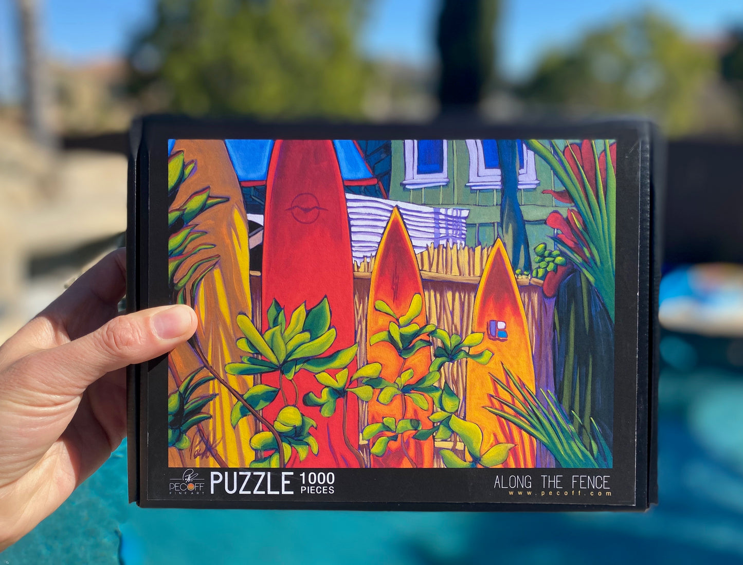 Along the Fence Puzzle