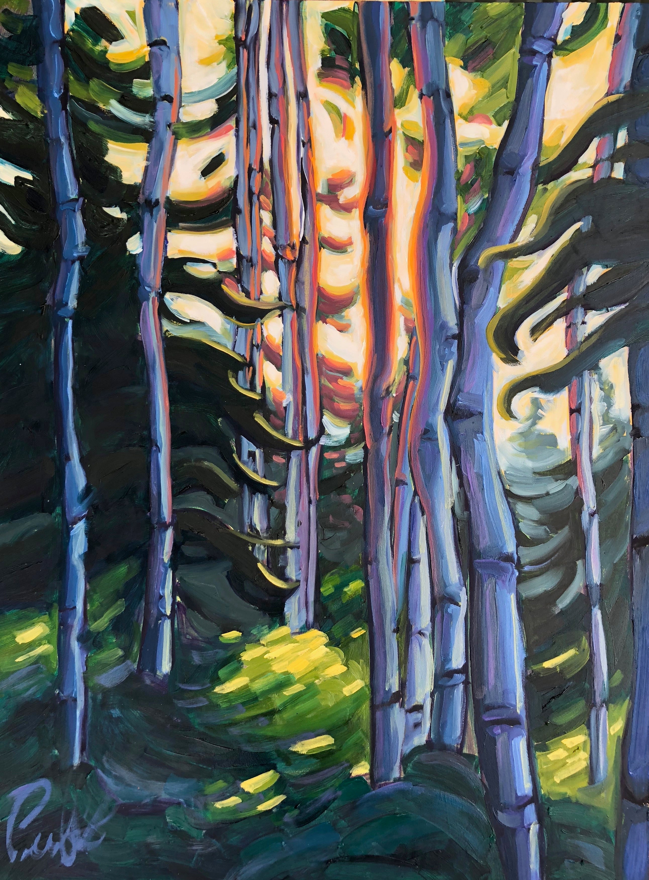 Aspens in the Forest