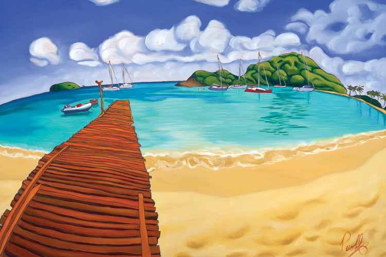 Blissful Waters of Salt Whistle Bay Perfect Giclee on Metal