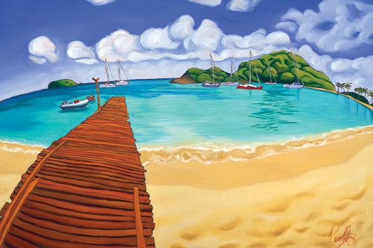 Blissful Waters of Salt Whistle Bay Perfect Giclee on Metal