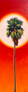 Heat of a Palm