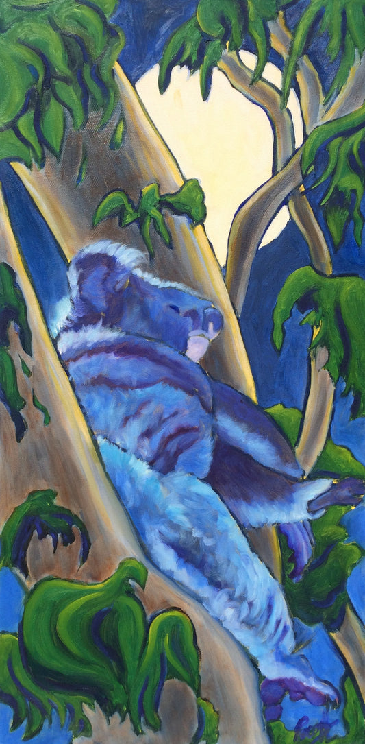 Koala at Moonlight