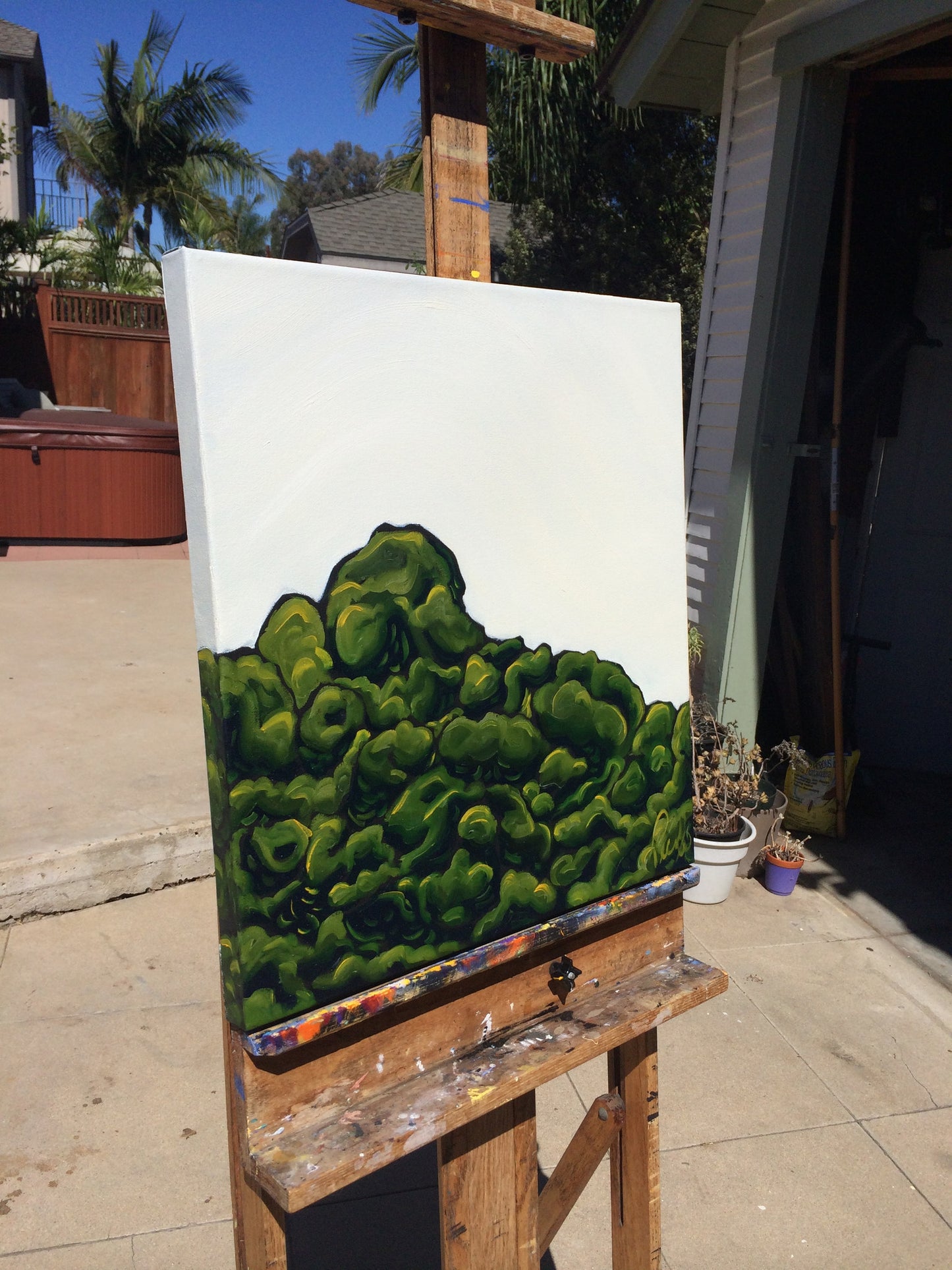 Garden of Eden