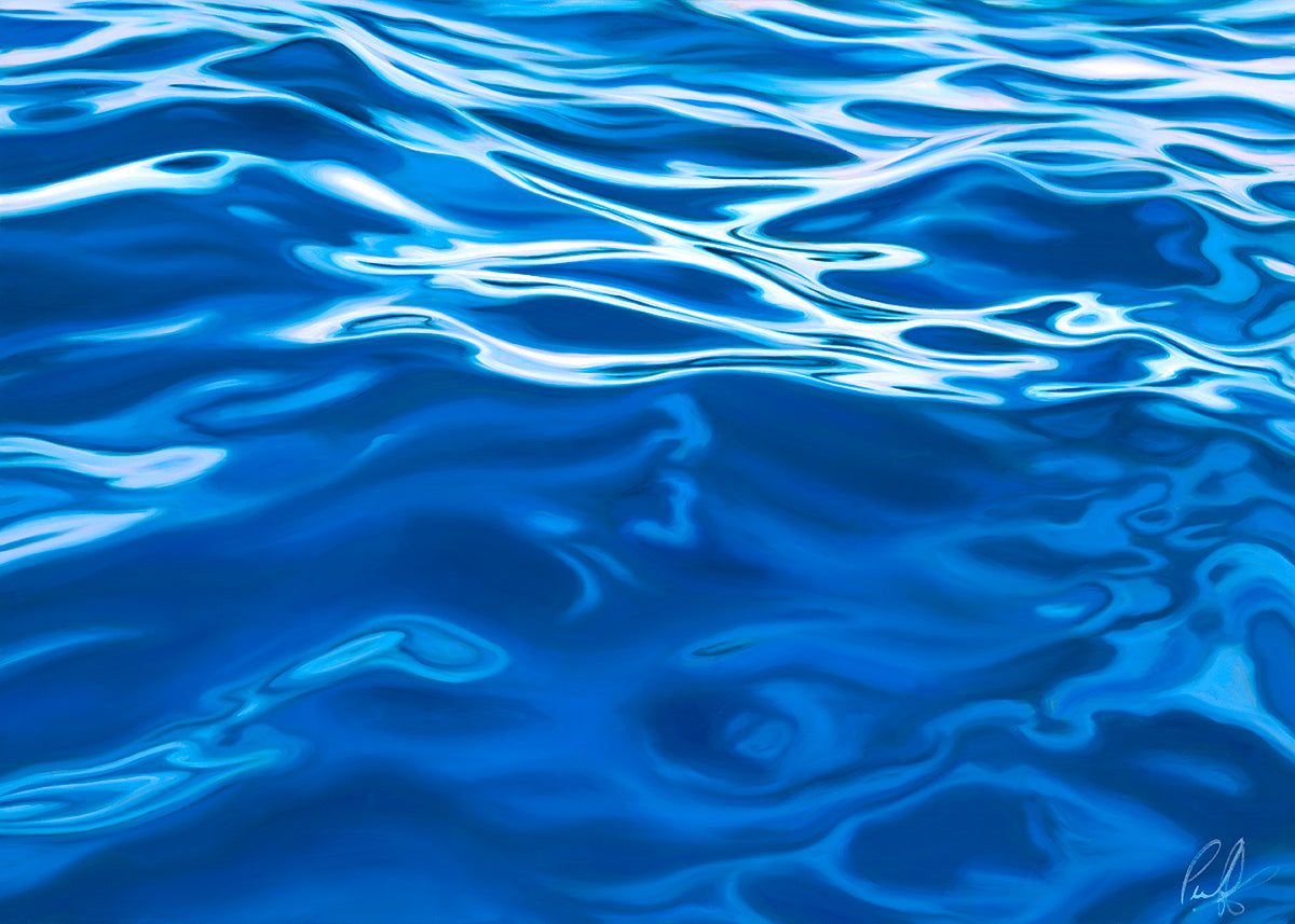 Pecoff Fine Art Book Special Collector's Edition