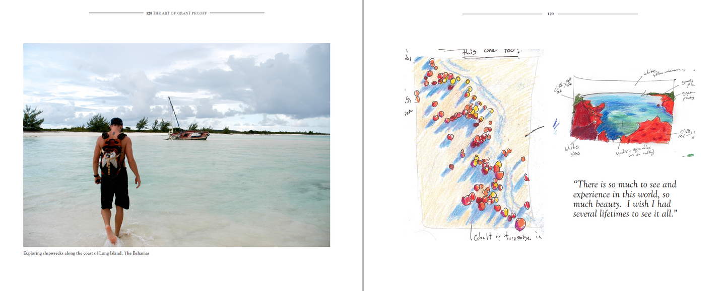 Pecoff Fine Art Book Special Collector's Edition