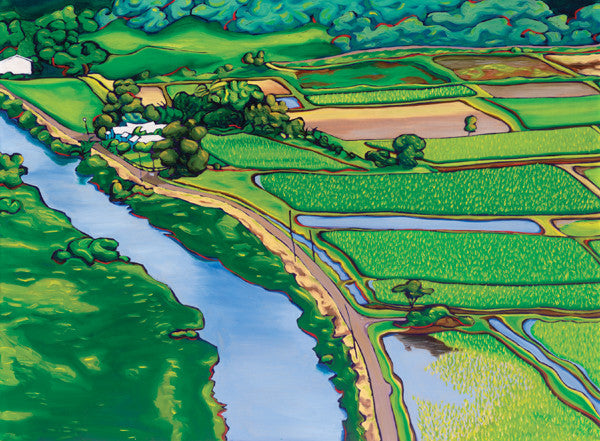 Taro Fields of Hanalei