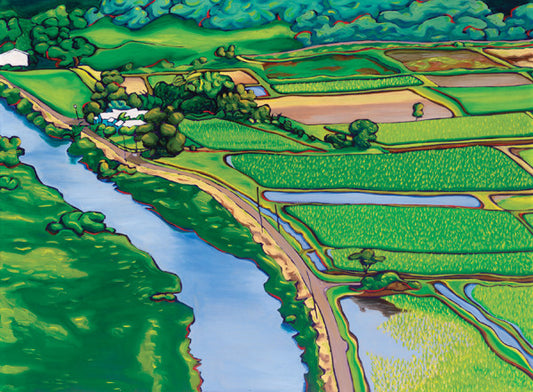 Taro Fields of Hanalei