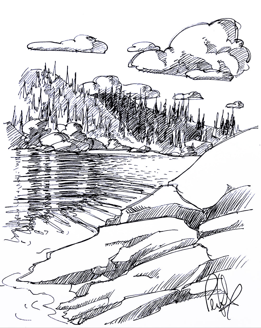 Pecoff Fine Art Book Special Collector's Edition