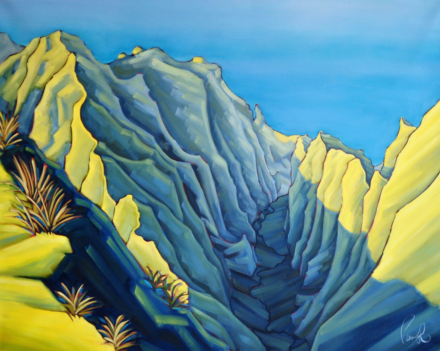 The Vastness of Awa'awapuhi Valley