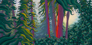Within the Mighty Redwoods